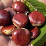 castagne castagne