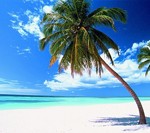 santo-domingo santo-domingo